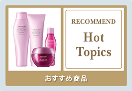 �������ߏ��i